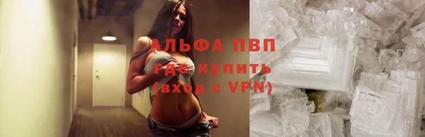 PSILOCYBIN Алексеевка